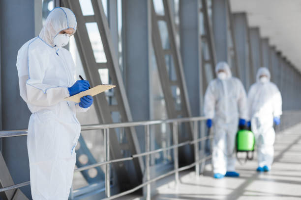 Environmental Consulting for Mold Prevention in Calabasas, CA