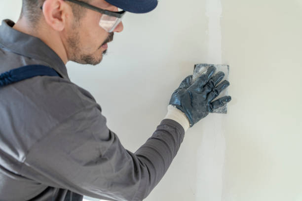 Best Basement Mold Removal  in Labasas, CA