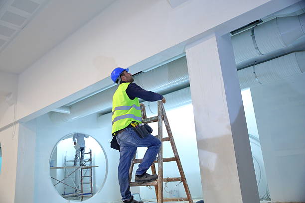 Calabasas, CA Mold Removal Company